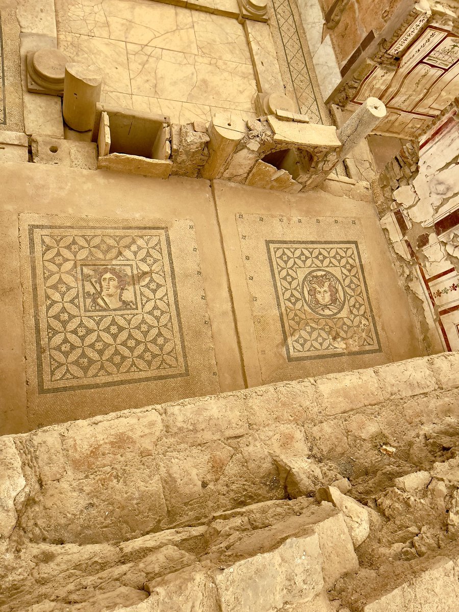 HistTreasure's tweet photo. Mosaic from the terrace houses in Ephesus. Dionysos and Medusa. 3rd century CE. #History  #mosaicmonday #archaeology https://t.co/I4ZpqUNDUZ