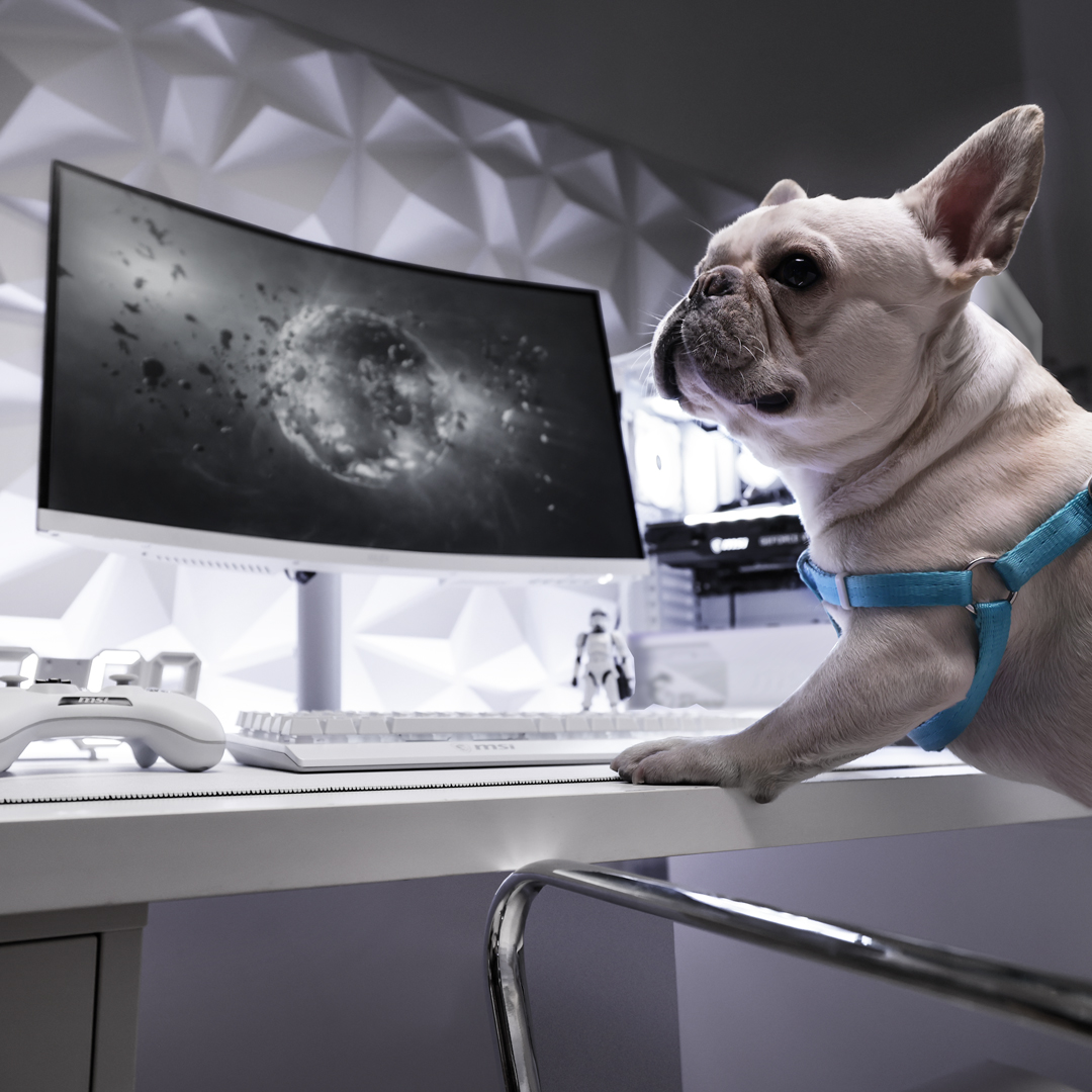 MSI_Latino's tweet photo. Hasta los perros se merecen la PC de sus sueños 🐕.

🔎 MPG GUNGNIR 110R WHITE

#GamingPC #whitePCbuild #B660 #msi #msigaming https://t.co/t7H53CcPvm