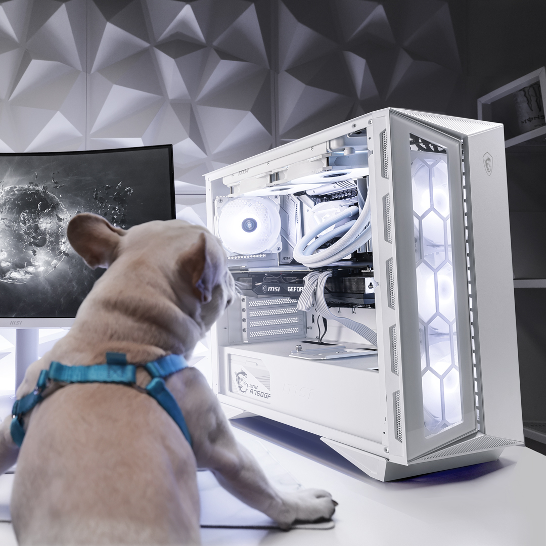 MSI_Latino's tweet photo. Hasta los perros se merecen la PC de sus sueños 🐕.

🔎 MPG GUNGNIR 110R WHITE

#GamingPC #whitePCbuild #B660 #msi #msigaming https://t.co/t7H53CcPvm
