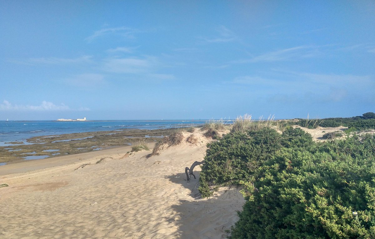 arartesania's tweet photo. Las mejores mañanas #puntomagico #SanctiPetri #Chiclana https://t.co/sFGqfxiS45