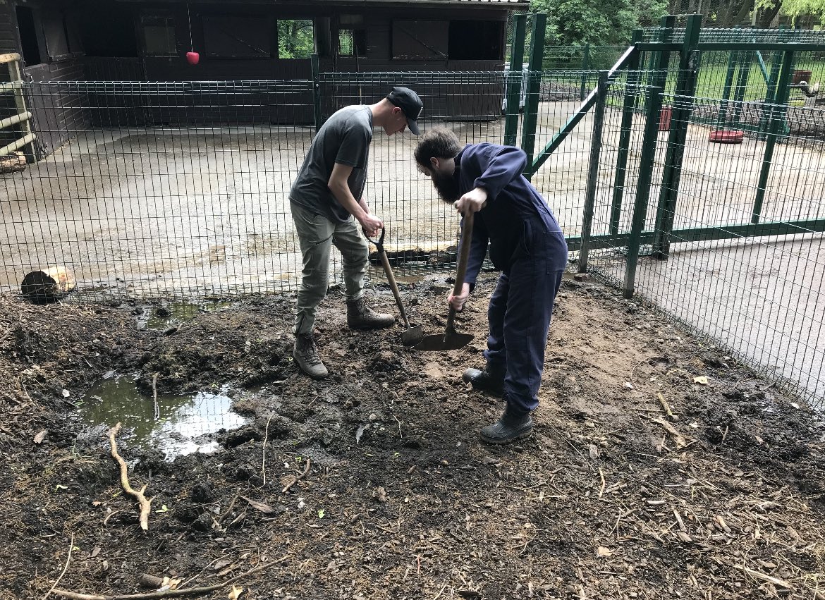 FLMyerscoughLiv's tweet photo. Our wonderful Supported Interns on their first day of placement at @Walton_Gardens @WaltonCampus keep up the great work! 👏🏼 https://t.co/EwJKdLX1ND