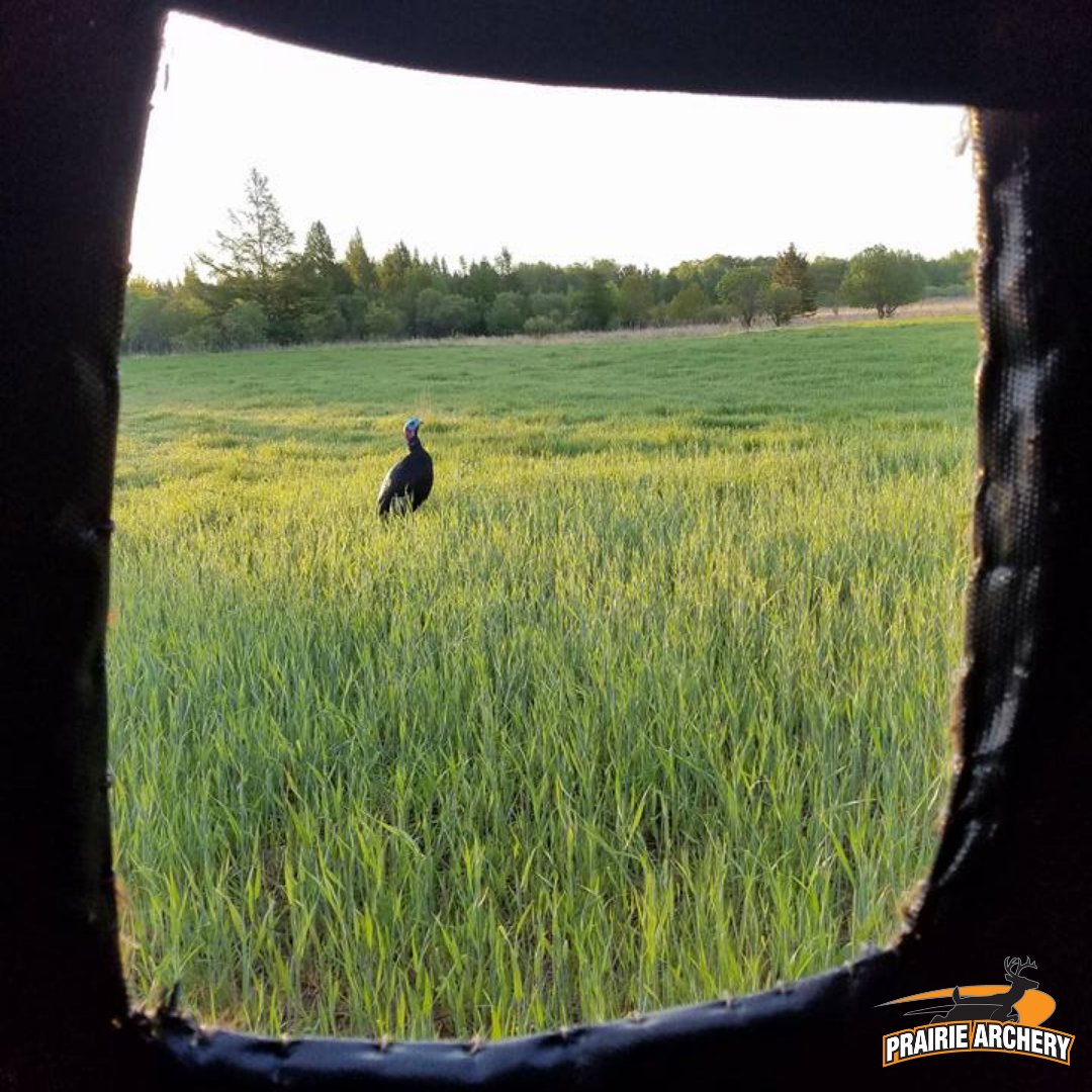 Prairie Archery tweet media