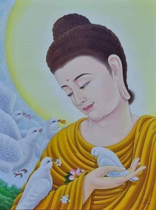 BuddhaQuotes tweet picture