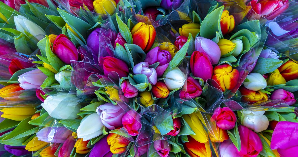 SMRGroup's tweet photo. Spring 2022 marks another busy quarter for SMR. Lots of new roles for senior-level security, risk management and safety professionals. https://t.co/RLufdEZ4RR https://t.co/IswJHCYRqf