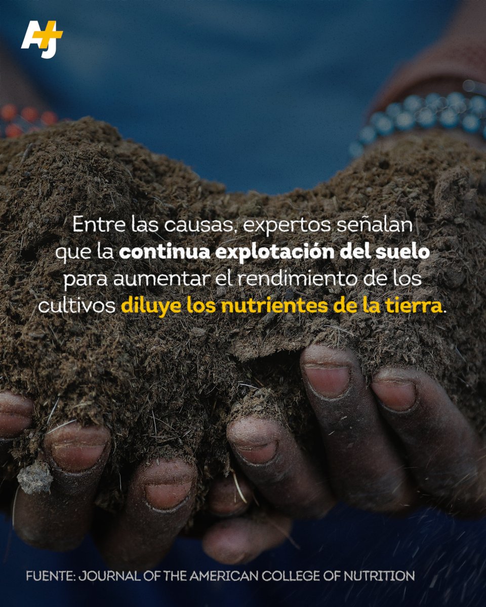 ajplusespanol's tweet photo. 🪢Los investigadores llamaron a prevenir una mayor crisis de alimentos utilizando métodos de agricultura regenerativa que sean menos dañinos para los suelos. 🌾 https://t.co/e7F7QjVpfI