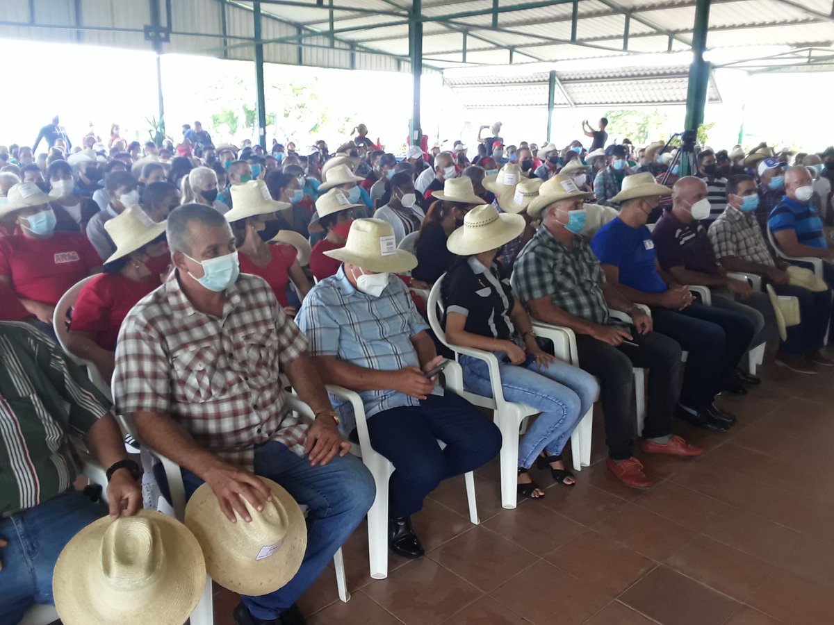 AlayAriel1's tweet photo. #ANAPCuba #CubaViveYProduce. El campesinado espirituano comprometido con su pueblo y con la #Revolución cubana. https://t.co/XC60x6G0Vd