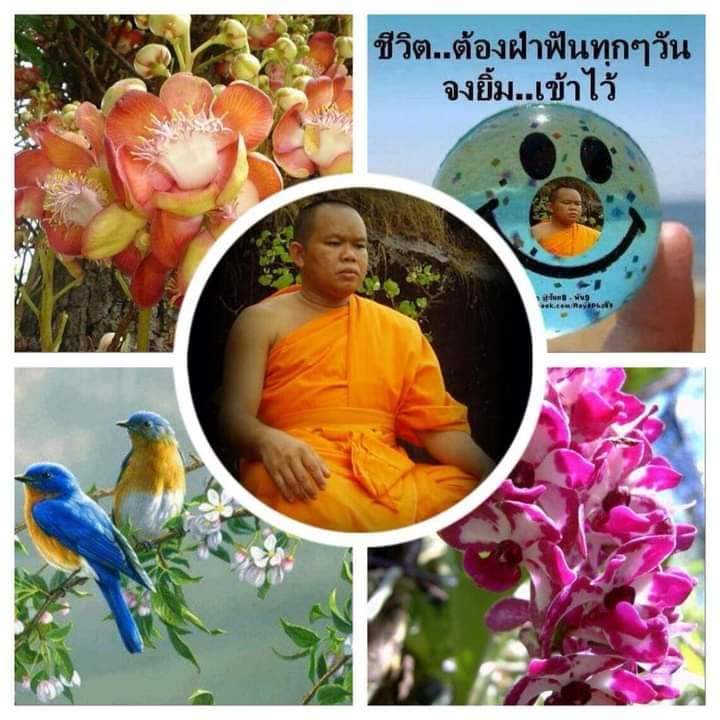 nupon25110999's tweet photo. สุขสันต์ยามเย็นอวยชัยให้พร https://t.co/iRcvzDfLtb