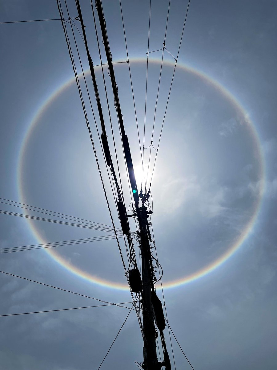 joshtm1103's tweet photo. 太陽の周りに綺麗な虹の輪っか🌈😄
綺麗にまん丸🙆‍♂️

#ハロ #halo #太陽 #空 https://t.co/zTTw3GAe75