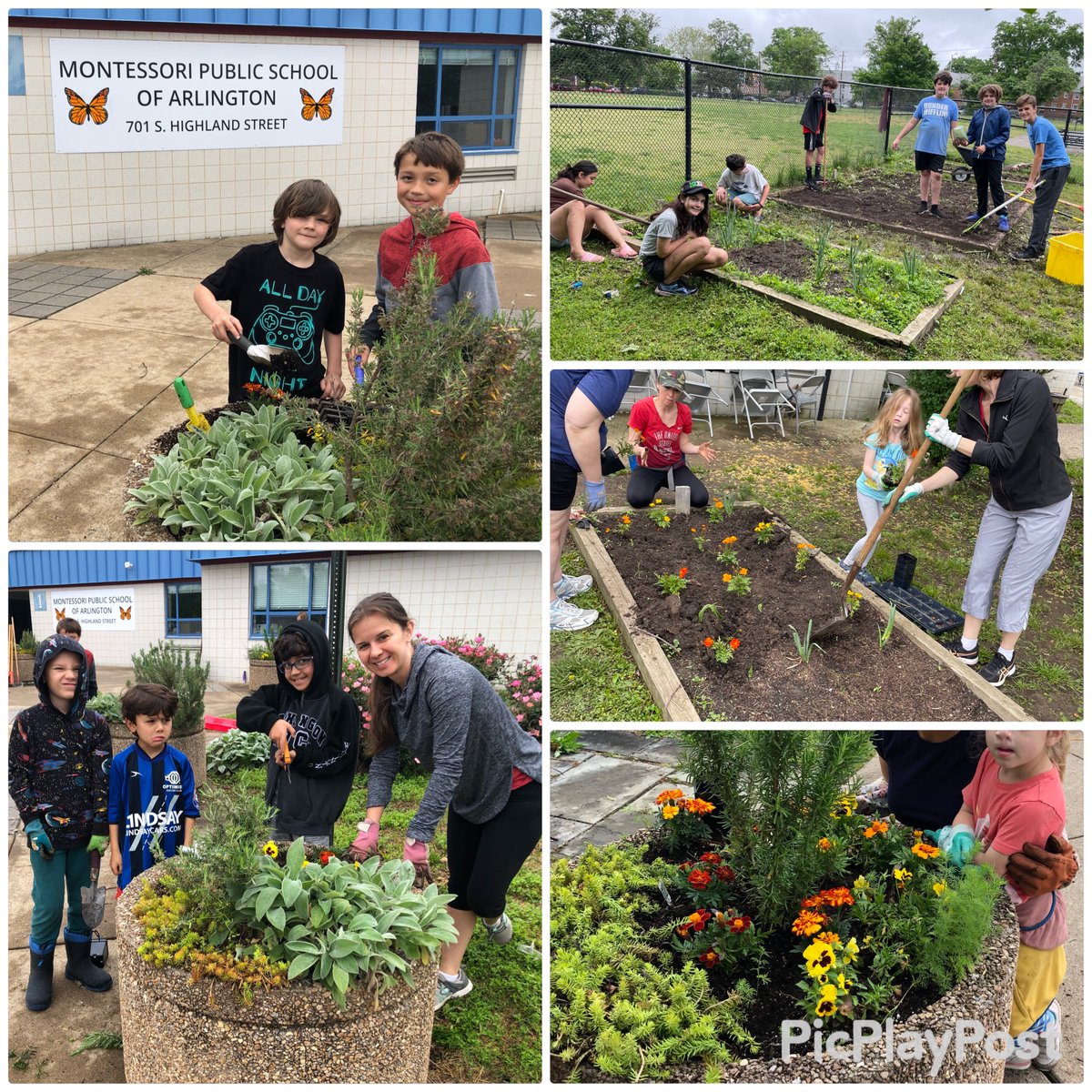 Successful MPSA Garden Day on Saturday! Thanks to those who joined! 

Hear about upcoming opportunities or share an idea you can spearhead - email us - gardening@acmpta.com