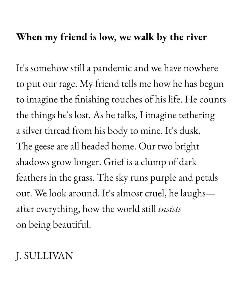 #amwriting #poetry #poemoftheday #amquerying