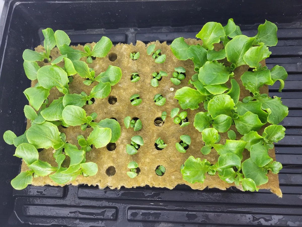 Millville Public Library tweet media