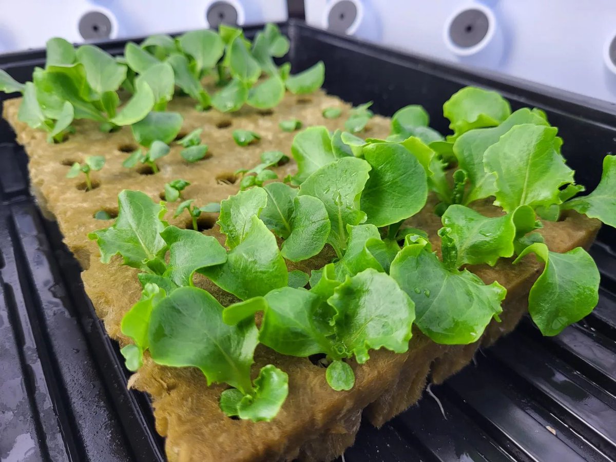 Millville Public Library tweet media