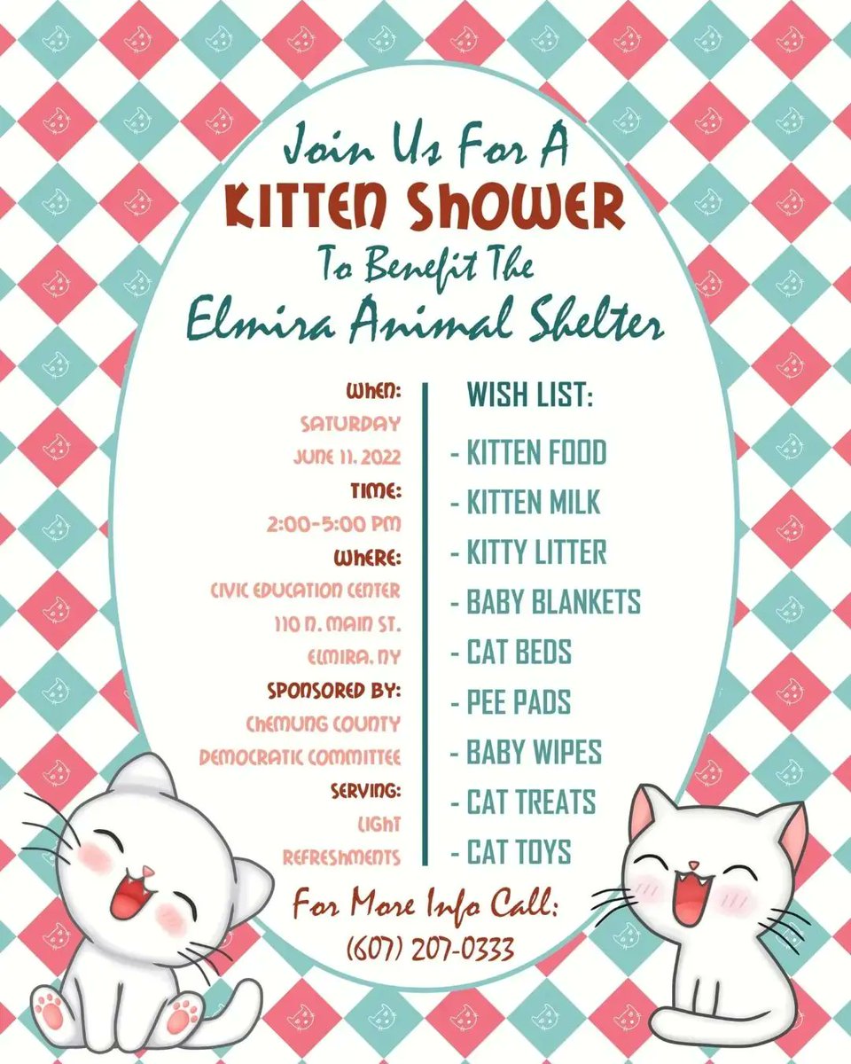 monkeymase's tweet image. #KittenShower
#ElmiraAnimalShelter
#ChemungCountyDemocrats
#Chemungdems
#PetFoodDrive
#WePutTheFunInFundraising
#JuneEvents