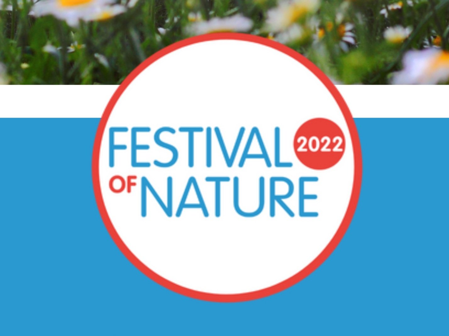 Festival of Nature circular logo in red, white, and blue. Horizontal split image background - top is white daisies in green field, bottom is mid-blue block colour.