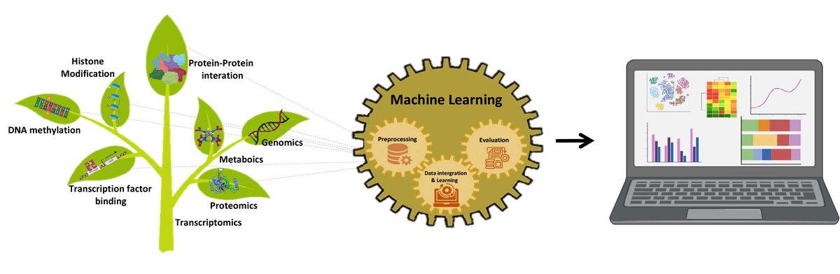 Machine learning: its challenges and opportunities in plant system biology
 
👉 link.springer.com/article/10.100…

#machinelearning; #ArtificialIntelligence; #Biology; #plant; #systembiology; #Omics; #genetics;