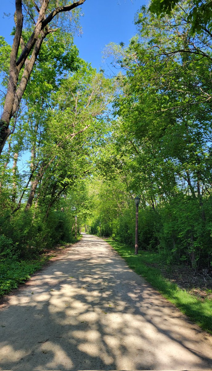 LynnKrizic's tweet photo. It's a pilates day, but a 2 mile run on a gorgeous morning never hurt anyone, right? #thisis66 #runchat #runner #prairiepath #fitness #pilates https://t.co/tsh6NPGNSf