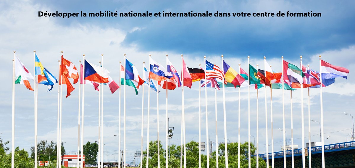 Vous souhaitez développer la mobilité nationale et internationale dans votre centre de formation ?
Pour accompagner les "référents mobilité" dans leur mission, Eduter Ingénierie vous propose son offre de formation.    
ℹ️ Contenu et modalités sur :
dgxy.link/V8VVV