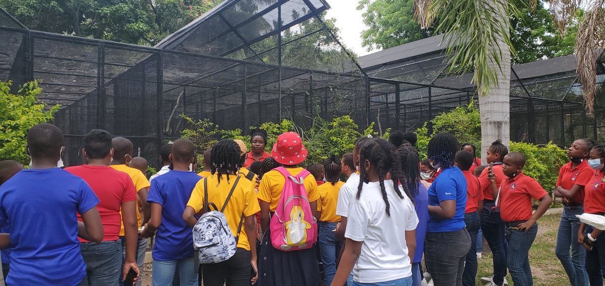 jamentrust's tweet photo. Joey Brown, General Curator of the Hope Zoo Preservation Foundation, gave an exciting presentation on the importance of the unique Jamaican Iguana and the work being done to protect it.
#savegoatislands #JamaicanIguana https://t.co/Muyo8hOk9U