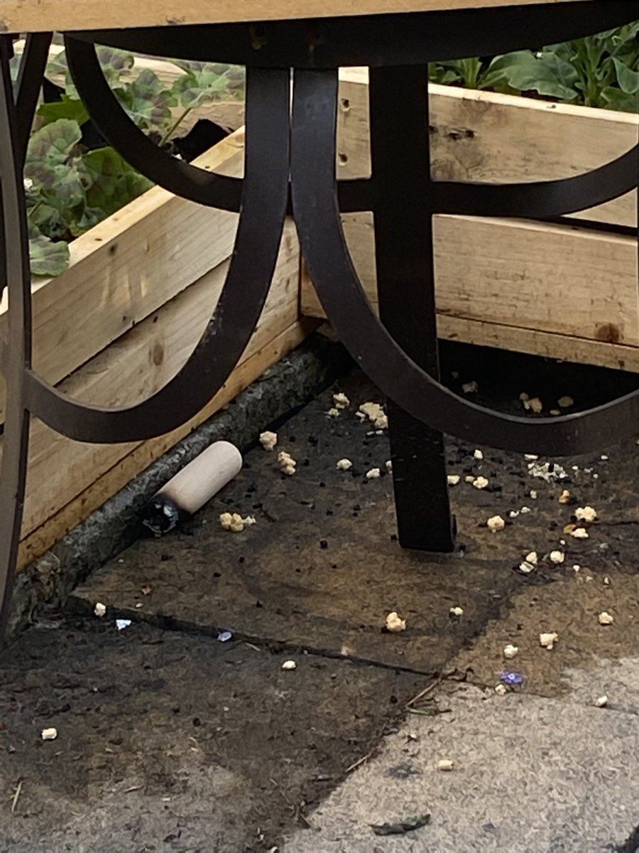 mkaf89's tweet photo. @dellondaonline Brand new pizza oven from yourselves and less than an hour the handle burns off. Avoid at all costs, customer service team not interested @mairi__mac @pmeaden @Lucy_Elph . Feel alarmed and distressed at the prospect of having to use it again. #woodfiredhandle https://t.co/FHvZxRwgeQ