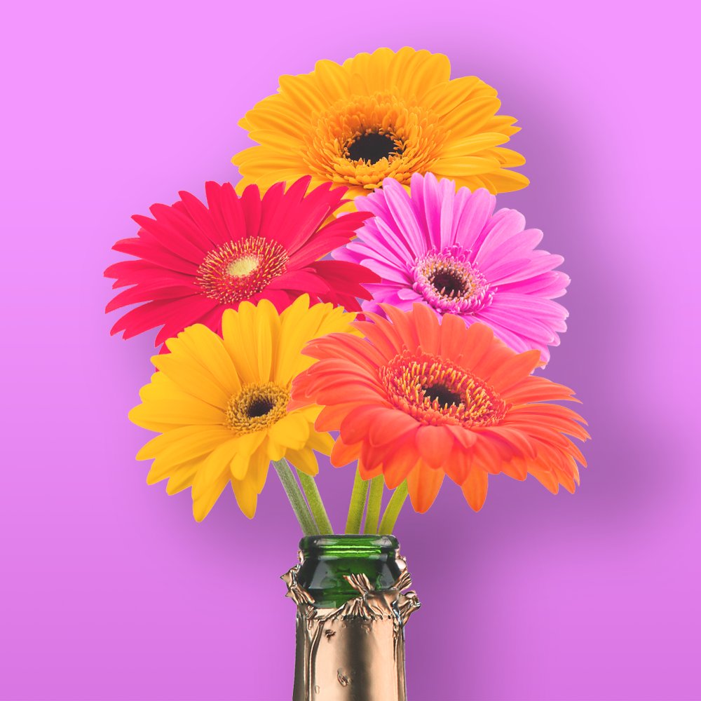 ☀️ CELEBRATE SUMMER ☀️
🍾 Enjoy a sparkling summer seaside break – includes a bottle of Fili prosecco and an upgrade on us.
Book before 22nd May for stays until 31st July 2022
Find out more -> theimperialtorquay.co.uk/hotel/offers-p…...