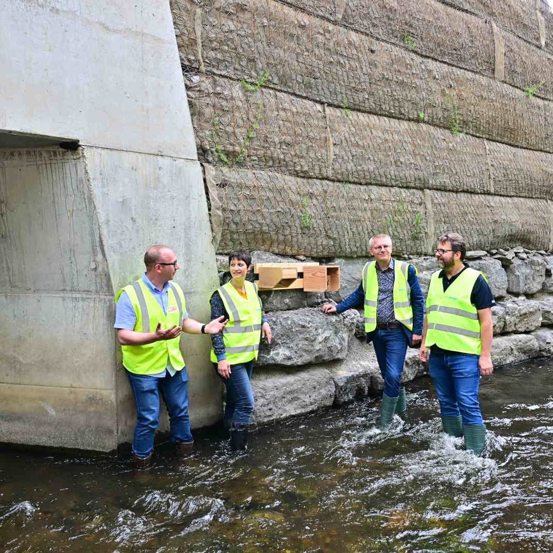 Infrabel_FR's tweet photo. Nous en profitons pour placer des nichoirs avec @WWF_Belgique, sous le nouveau pont, pour préserver l’habitat du cincle plongeur. Une initiative pour protéger la nature et notamment les oiseaux, dont les populations ont chuté de près de 30% ces 30 dernières années. #weareinfrabel https://t.co/zLYW2CP2KT