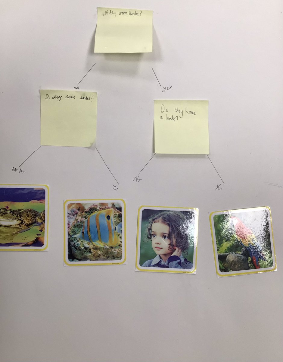 WPatemanscience's tweet photo. Year 4 continued their work on classification by creating their own branching keys. #JerseyVcp https://t.co/kadpIstyk4