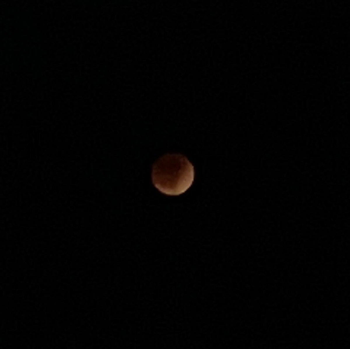 afkatm's tweet photo. That blood Moon eclipse though. https://t.co/5lnBAwn2Op