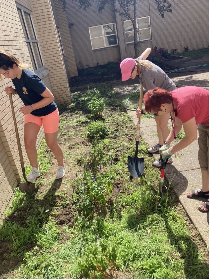 SAUSustain's tweet photo. Come help us plant our gardens!  Meet at the Lewis Greenhouse Thursday, May 19 at 1 PM to help install our vegetable and pollinator gardens on campus for the year. Bring your friends! https://t.co/3YinrmrNAT
