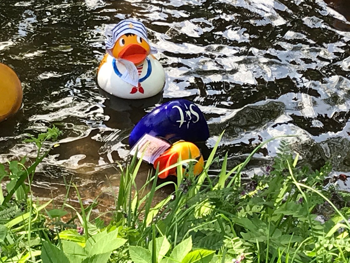 sandtwealth's tweet photo. Bramhall Duck Race 2022

S&amp;T and Alan the Duck had a fantastic time yesterday at Bramhall Duck Race!!

We unfortunately didn't win this time and Alan had a slight fall near the end, but the S&amp;T Team are already gearing up for next years race.

#bramhall #charity #WealthManagement https://t.co/33XqdePAZq