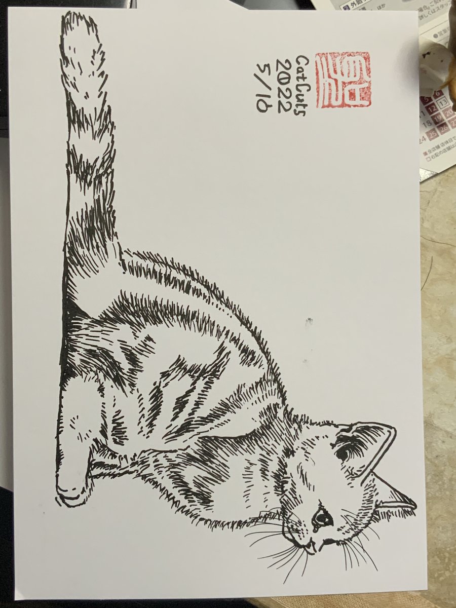 「モノクロ版権フリー猫画集」CatCuts https://t.co/Bg5eL8cvXX
漫画家と編集者 同時にやってみた!https://t.co/lmO2KLAJFh
「面白いを解き明かす」カタルシスプランhttps://t.co/giepYBo02x
BOOST(投げ銭)して下さった方には本にサインイラスト入れてるんですが描きにくいので別紙にしてみました