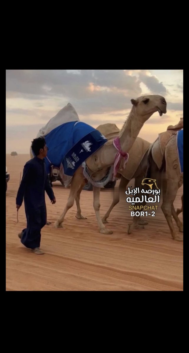 bor1_2 tweet picture