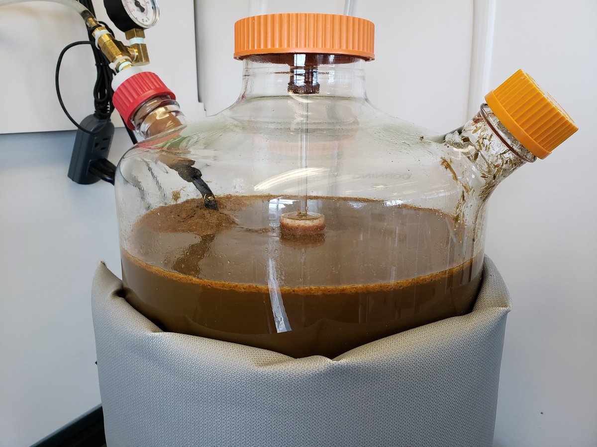 Excited to be hosting our very first High School Tech Camp: four days of hands-on Alternative Energy and Nanotechnology labs for grade 10 and 11 students!
<a href="/NAIT/">NAIT</a> <a href="/NAITNano/">NAIT Nanotechnology</a> <a href="/EPSBNews/">EPSB</a>