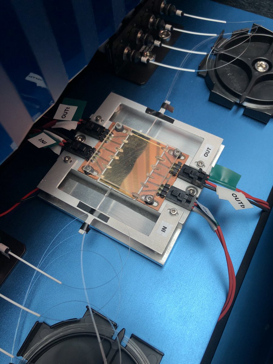 Margrethe Vestager (@vestager) on Twitter photo A self-charging pacemaker to avoid multiple operations; the most efficient single photon source in the world 🌎 … just some of the amazing things that can happen in 🇫🇷🇪🇺, with 🇺🇸 collaboration. Thanks <a href="/C2N_com/">C2N, Centre de Nanosciences et de Nanotechnologies</a>! #TTC A self-charging pacemaker to avoid multiple operations; the most efficient single photon source in the world 🌎 … just some of the amazing things that can happen in 🇫🇷🇪🇺, with 🇺🇸 collaboration. Thanks <a href="/C2N_com/">C2N, Centre de Nanosciences et de Nanotechnologies</a>! #TTC