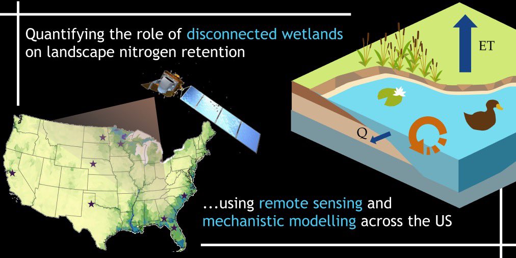 pHred_cheng's tweet photo. Super excited to talk about the "Role of ephemeral wetlands in landscape nutrient retention" and the importance of downstream disconnectivity to the river network (ID 1115) on Tues 1:45  (DeVos Grand Gallery C) #BasuLab at #JASM22 https://t.co/61rrWCVaS5