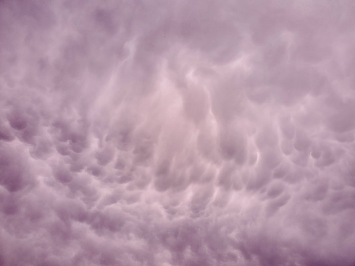 scotchprophet's tweet photo. interesting and fairly disconcerting storm clouds over Highland Park, St. Paul, part 3. #spring #storm #cloud #photography from #SaintPaul #MN. #OnlyInMN #StormHour #ThePhotoHour #wxtwitter #mnwx https://t.co/Rdyg1uL6TD