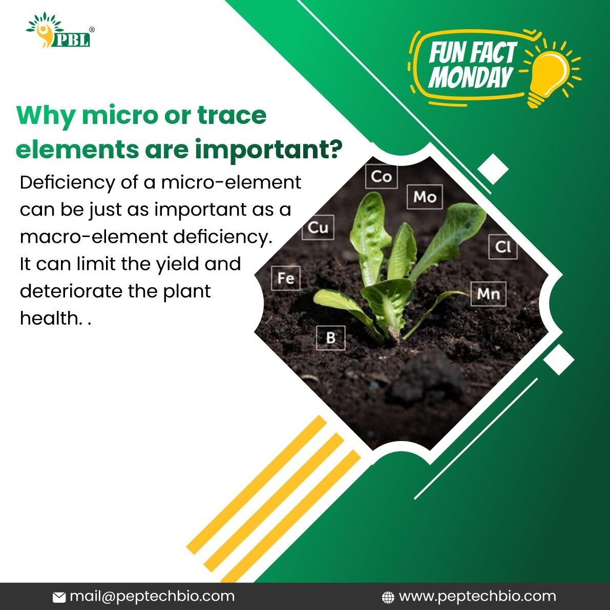 peptechbio's tweet image. Peptech holds immense expertise in the manufacturing of Amino Acid Chelated Micronutrients range (9 micronutrient chelates) and amino acid mixture 40-80%  that are non toxic and non polluting.

 #peptech  #micronutrients #microelements #npk #aminoacid #aminoacidchelates #chealets