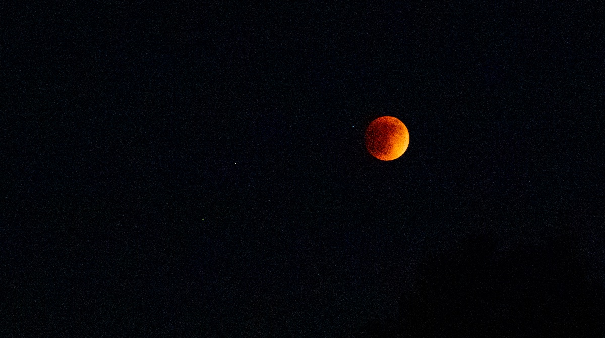 CedarCreekKC's tweet photo. Here are a couple of photos from last night’s super flower blood moon lunar eclipse! 🌝
Did you stay up to watch it?
#adastraperaspera #tothestars #cedarcreekkc #lunareclipse #supermoon #bloodmoon #olathe #kansas #historyqualitycommunity https://t.co/UdYaucMR9o