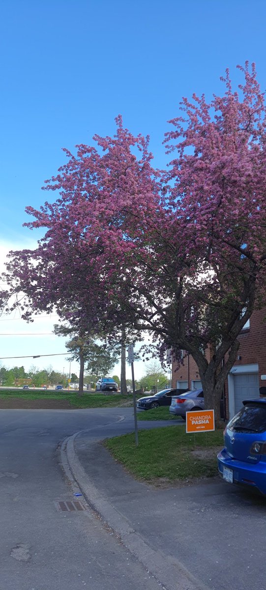 AAKASH (@get2aakash) on Twitter photo 