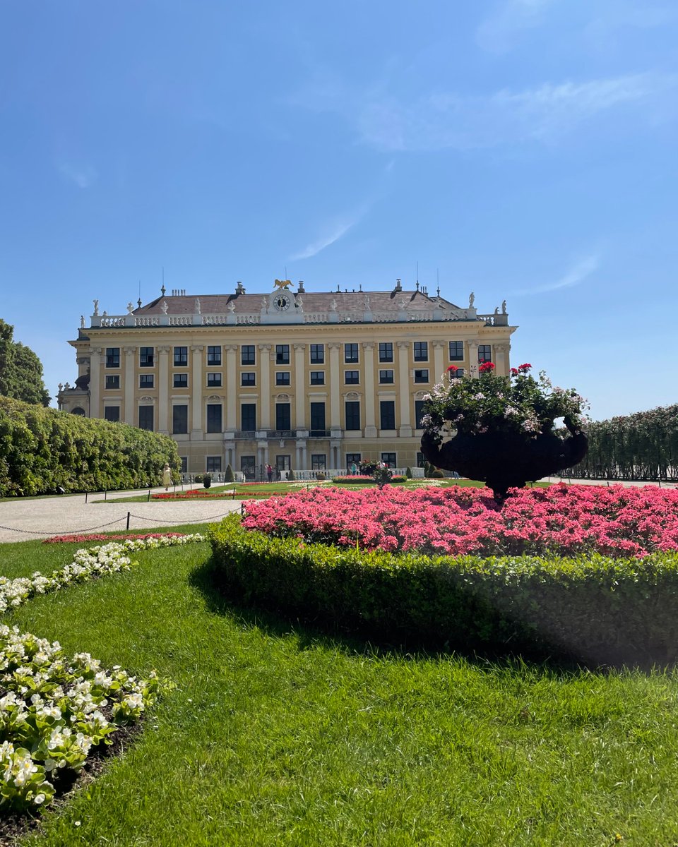 schonbrunn's tweet photo. We 💛 how #SchönbrunnPark becomes more colorful with each passing day! (And the 🐝 apparently enjoy it too 😉)
📸 SKB #Schoenbrunn #Schonbrunn #Schönbrunn #Palace #Castle #Park #Gardens #sightseeing #sights #viennanow #vienna #WienLiebe #viennagoforit #austria #visitaustria https://t.co/dVGNfukntC