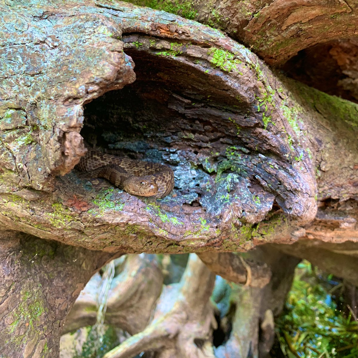 Sam Shablin tweet media