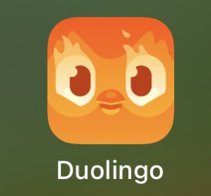 brianbrianquinn's tweet image. Omg when you hit 1,100 days in Duolingo the app icon on your home screen changes. Now the owl’s in hell where he belongs