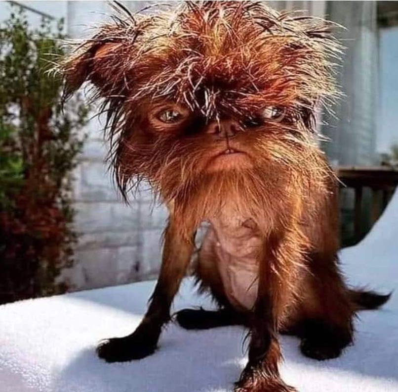 Monday morning selfie.