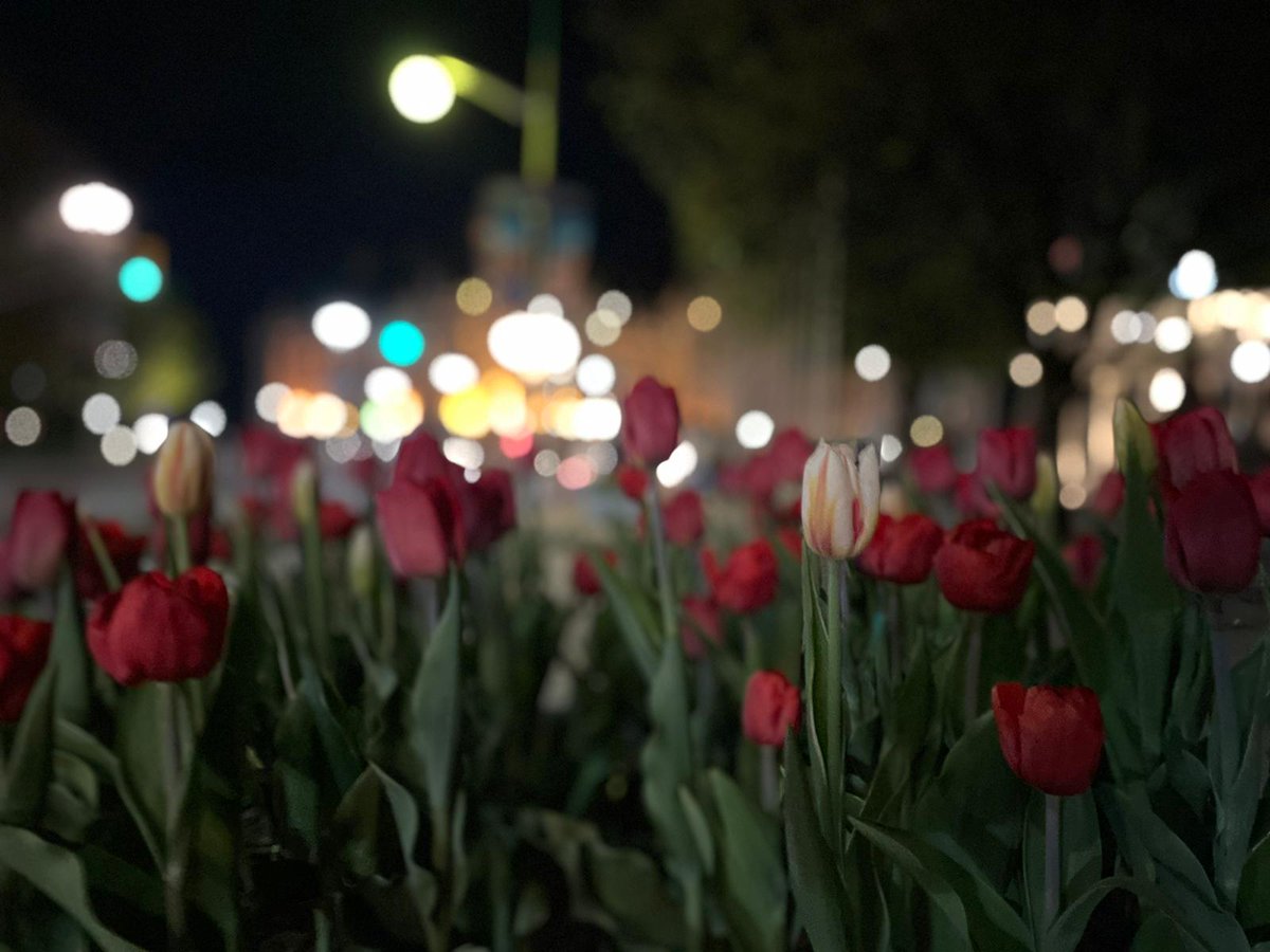 AAKASH (@get2aakash) on Twitter photo 