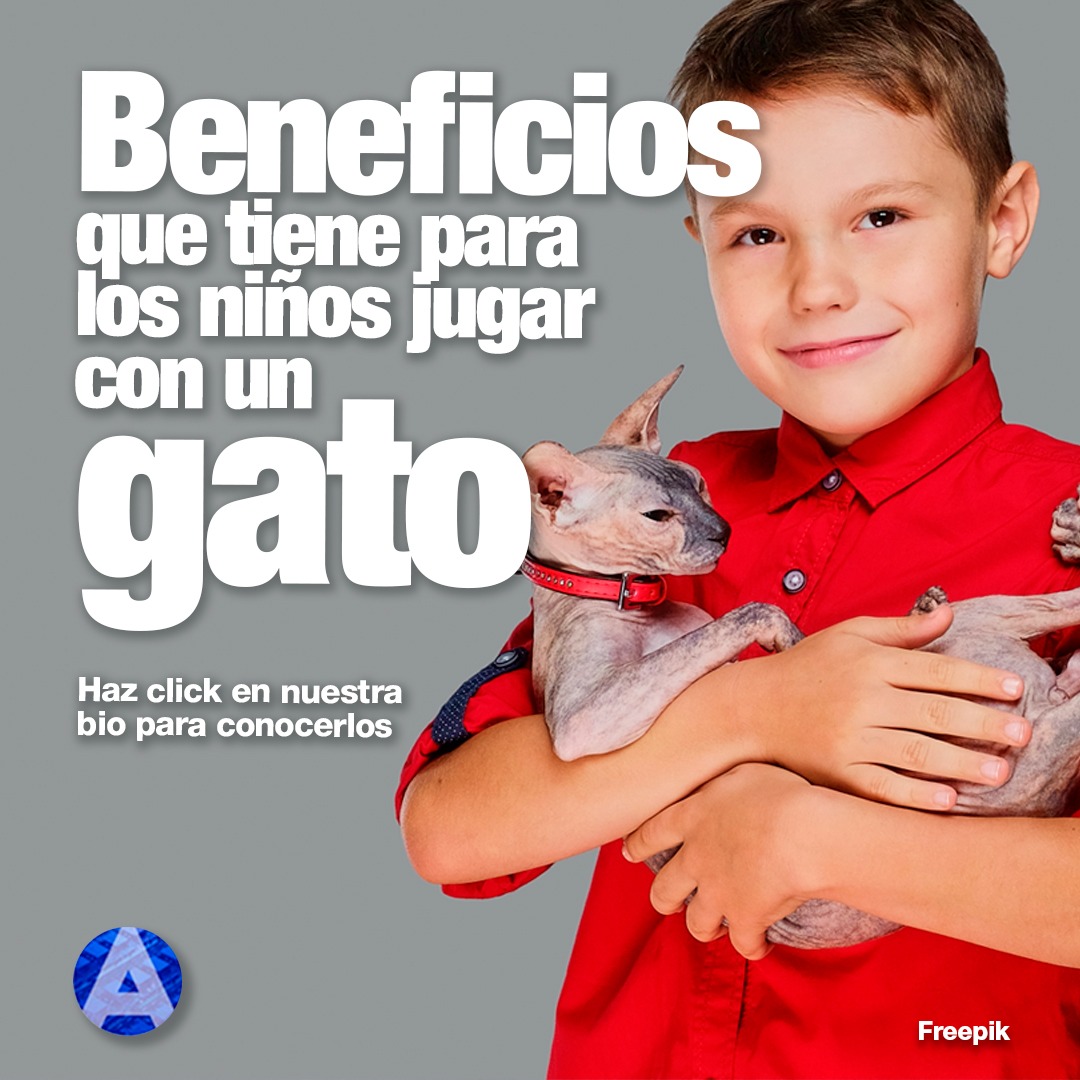 Aseminfor's tweet photo. Tener un gato en casa es una gran responsabilidad ya que necesitan cuidados, cariño y atenciones. Sin embargo, los beneficios para los niños son más que los inconvenientes. Descúbrelo aquí:
https://t.co/yZFDvrofU4
#gatos #beneficios #amigos #mascota #unomasdelafamillia #cuidados https://t.co/bnlJoFjtIn