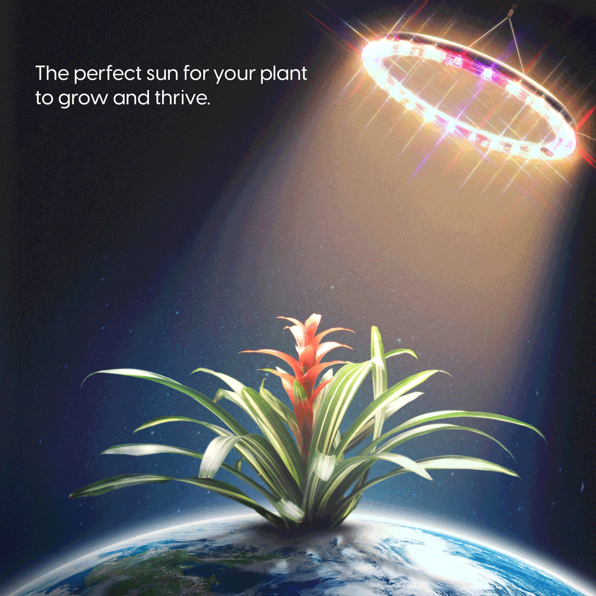 altifarm's tweet photo. 🌿🌱🌺🥬
Thanks to its multi-spectrum LEDs, CURA can grow plants 2 times faster, even in the darkest corner of your home, by replacing the sunlight.
So you can enjoy the company of your #plants in places with low sunlight. https://t.co/zQuMFJJoLP
