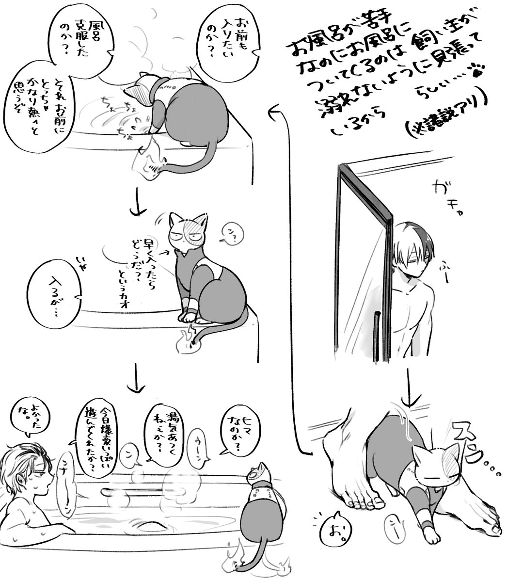 同棲爆轟と🐈 