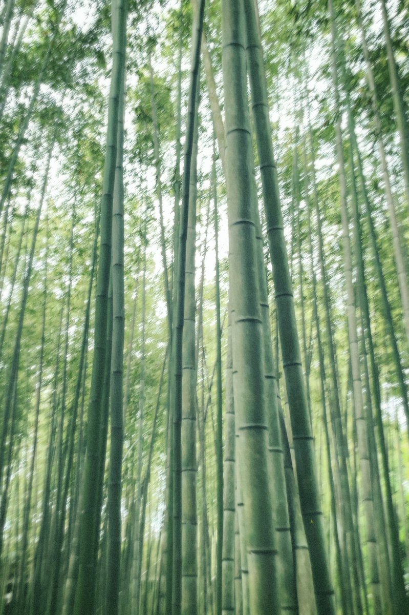 oliolicnm's tweet photo. Natural. https://t.co/6s7sQqMKAz