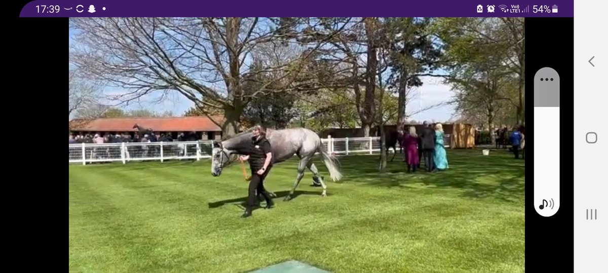 Bushyboy99Mb's tweet photo. @TheFinalHurdle_ Can't believe you've not tipped up my horse First Folio at Windsor! 😍 https://t.co/vym6a3e1dt