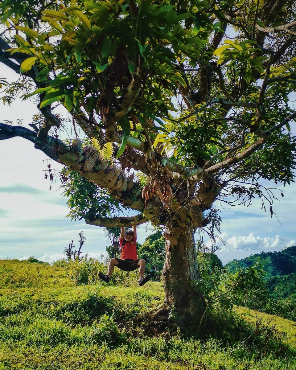 Formstack's tweet photo. π³ Happy National #LoveATreeDay! π³
Whether you hug, hang, climb, or dance in the trees today, we want to get planting!
For every RT (up to 3000 RTs), we will plant a tree as part of our #FormstackForests program in partnership with @onetreeplanted.
Hurry, retweet this! π https://t.co/7C9Dx1tyu0