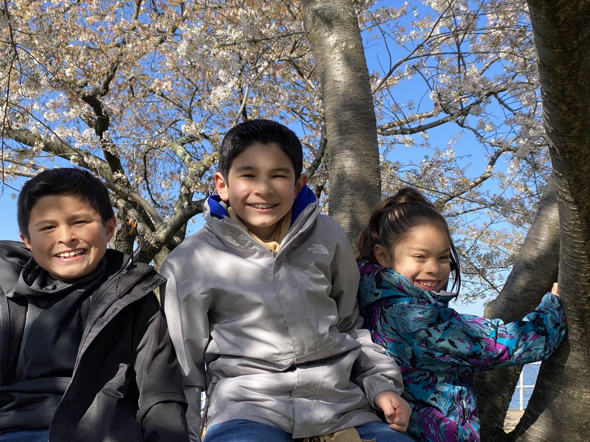 Formstack's tweet photo. π³ Happy National #LoveATreeDay! π³
Whether you hug, hang, climb, or dance in the trees today, we want to get planting!
For every RT (up to 3000 RTs), we will plant a tree as part of our #FormstackForests program in partnership with @onetreeplanted.
Hurry, retweet this! π https://t.co/7C9Dx1tyu0